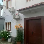 Traditional Bazaar Home2